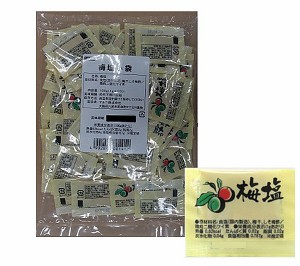 【送料無料】マルニ　梅塩　小袋（１ｇ×100P）×10個【イージャパンモール】