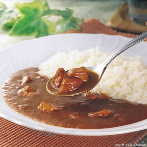 【送料無料】博多華味鳥　チキンカレー【ギフト館】