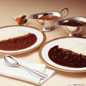 【送料無料】こだわりカレー２種詰合せ【ギフト館】