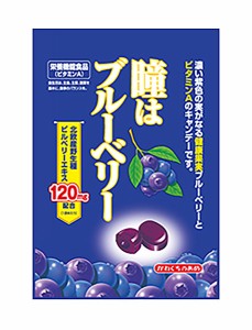 ★まとめ買い★　川口製菓　瞳はブルーベリー　83ｇ　×10個【イージャパンモール】