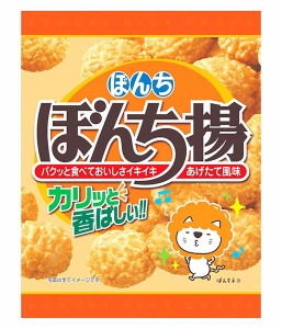 【送料無料】★まとめ買い★　ぼんち　ぼんち揚　65ｇ　×20個【イージャパンモール】