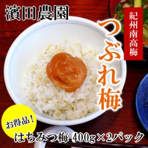 ( お買い得 つぶれ梅 ) 濱田農園 梅干し 紀州南高梅 ( はちみつ梅 500g 2パック )