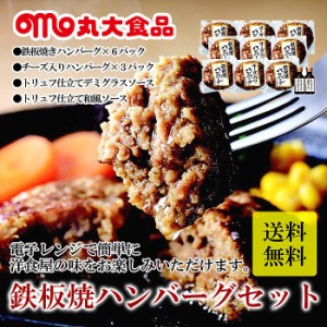 ( 丸大食品 ) 2022 お中元 ギフト 鉄板焼ハンバーグセット