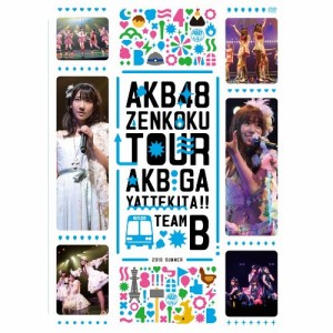 DVD/AKB48/AKB48「AKBがやって来た!!」 TEAM B