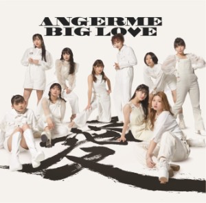 CD/アンジュルム/BIG LOVE (通常盤)