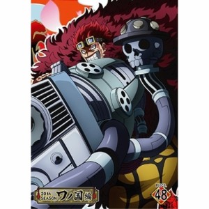 DVD/TVアニメ/ONE PIECE ワンピース 20THシーズン ワノ国編 PIECE.48