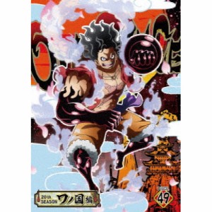 DVD/TVアニメ/ONE PIECE ワンピース 20THシーズン ワノ国編 PIECE.49