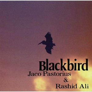 【取寄商品】CD/ジャコ・パストリアス〜ラシッド・アリ/ブラックバード (日本語解説付) (通常価格盤)