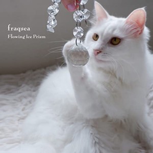 【取寄商品】CD/fraqsea/Flowing Ice Prism