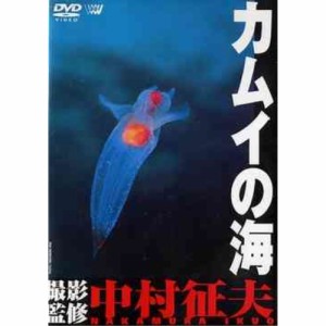 DVD/趣味教養/カムイの海