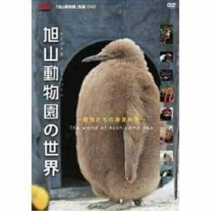 DVD/趣味教養/旭山動物園の世界〜動物たちの春夏秋冬