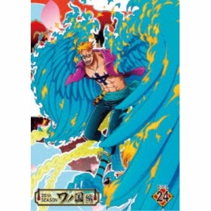 DVD / TVアニメ / ONE PIECE ワンピース 20THシーズン ワノ国編 PIECE.24