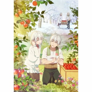 BD/TVアニメ/じいさんばあさん若返る Blu-ray BOX(Blu-ray)