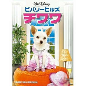 DVD/洋画/ビバリーヒルズ・チワワ (廉価版)