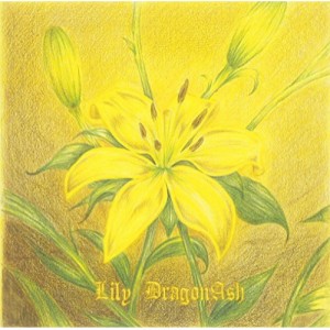 CD/Dragon Ash/Lily (通常盤)