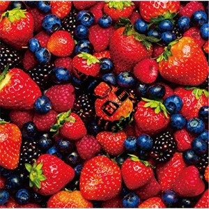 CD/髭(HiGE)/STRAWBERRY TIMES(Berry Best of HiGE) (歌詞付) (通常盤/Standard Edition)