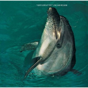 CD/ジョー・リー・ウィルソン/ヘイ・ルック・アット・ユー (完全限定盤)