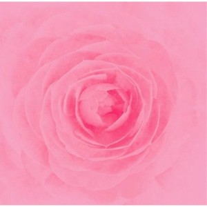 【取寄商品】CD/RAY/Camellia (紙ジャケット)