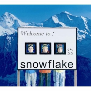 CD/□□□/snowflake