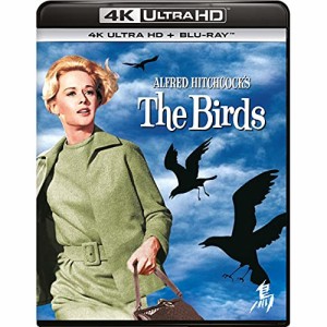 【取寄商品】 BD / ロッド・テイラー / 鳥 (4K Ultra HD Blu-ray+Blu-ray)