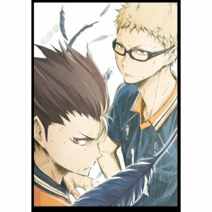 【取寄商品】BD/TVアニメ/ハイキュー!! 烏野高校 VS 白鳥沢学園高校 Vol.2(Blu-ray)