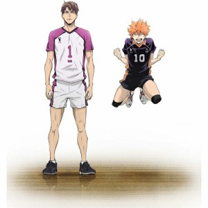 【取寄商品】DVD/劇場アニメ/劇場版総集編 白鳥沢学園高校戦 『ハイキュー!! コンセプトの戦い』