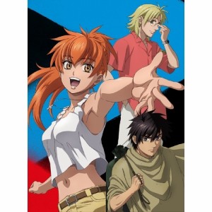 DVD/TVアニメ/フルメタル・パニック! Invisible Victory(IV) DVD BOX2 (本編DVD+特典DVD+CD)