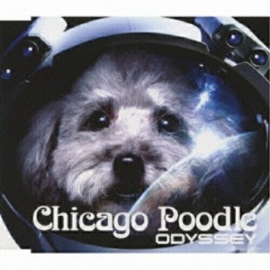 CD/Chicago Poodle/オデッセイ