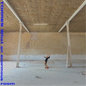 【取寄商品】CD/TORRES/WHAT AN ENORMOUS ROOM