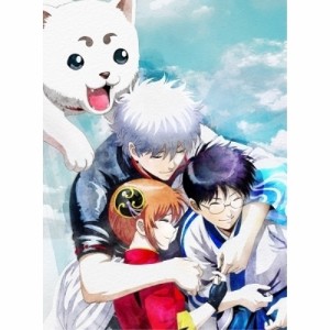 DVD/劇場アニメ/銀魂 THE FINAL (本編DVD+特典DVD+CD) (完全生産限定版)