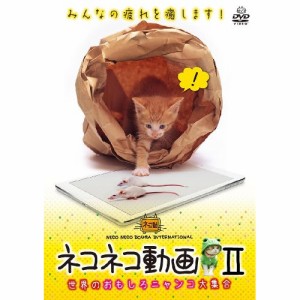 【取寄商品】DVD/趣味教養/ネコネコ動画II 〜世界のおもしろニャンコ大集合〜