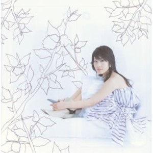 CD/佐藤寛子/Can't Hide (CD+DVD)