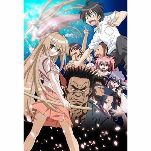 BD/TVアニメ/瀬戸の花嫁 全話見Blu-ray(Blu-ray)