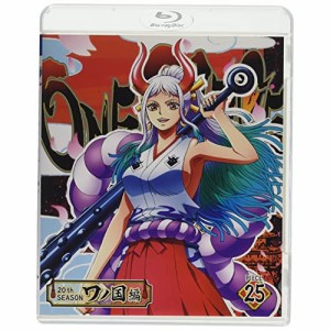 BD/TVアニメ/ONE PIECE ワンピース 20THシーズン ワノ国編 PIECE.25(Blu-ray)