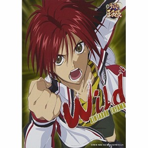 CD / 遠山金太郎 / Wild