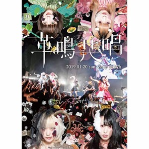 DVD / ぜんぶ君のせいだ。 / Zepp Tokyo ワンマンLIVE〜革鳴共唱〜