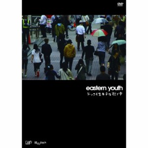DVD / eastern youth / ドッコイ生キテル街ノ中
