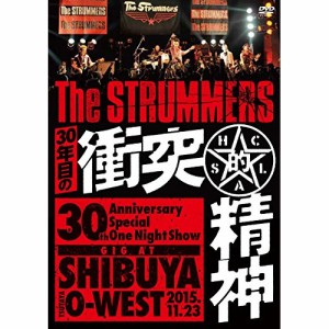 ★ DVD / The STRUMMERS / 30年目の衝突的精神 -GIG at SHIBUYA TSUTAYA O-WEST-