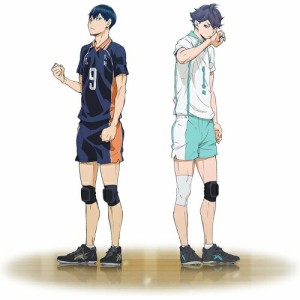 【取寄商品】DVD/劇場アニメ/劇場版総集編 青葉城西高校戦 『ハイキュー!! 才能とセンス』