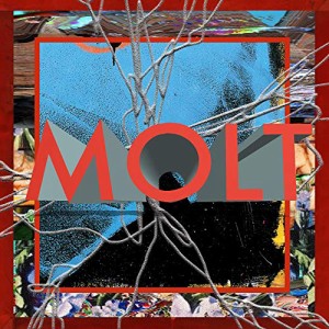 CD / MOLT / MOLT