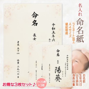 命名書 命名紙 さくら 3枚セット 名入れ お名前＋生年月日＋出生時刻＋身長体重 オーダー お祝い 男の子 女の子 記念 出産 ベビー 赤ちゃ