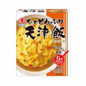 [ヒガシマル醤油]ちょっとどんぶり 天津飯 味付けの素 2食分 48gx1個