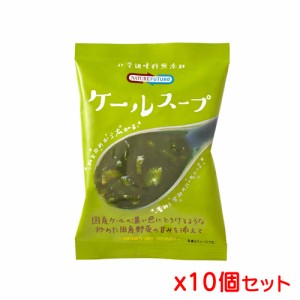 【ゆうパケット配送対象】 コスモス食品 Nature Future ケールスープ 10g x 10個セット(ポスト投函 追跡ありメール便)【yu03b-10】