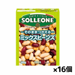 ソル・レオーネ ミックスビーンズ テトラパック 380gx16個(ひよこ豆、金時豆、白いんげん豆 紙パック)