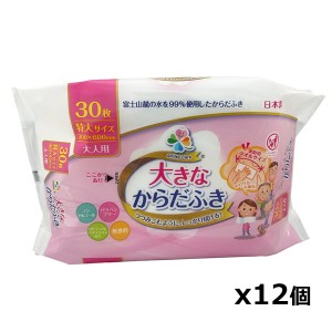 介護用ボディウェットタオル 特大サイズ 30枚入【12個set】