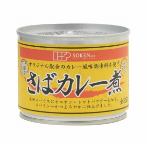 【創健社】 さばカレー煮 190g（缶詰）