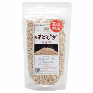 太陽食品 国産はとむぎ粒 250g【マクロビ/ベジタリアン/自然食品/美容/ヘルシー食材】