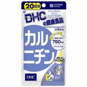 【ゆうパケット配送対象】DHC カルニチン 20日分 （サプリメント/サプリ）(メール便)