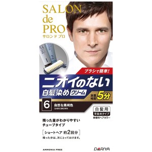 [ダリヤ]サロンドプロ 無香料 ヘアカラー メンズスピーディ 6 自然な黒褐色[医薬部外品](毛染め 白髪染め 男性向け セルフカラー 自宅