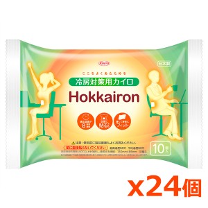 興和 ホッカイロ Hokkairon ホッカイロン 冷房対策用 貼るカイロ レギュラー 10個入りx 24個(エアコン対策 冷え 夏カイロ)